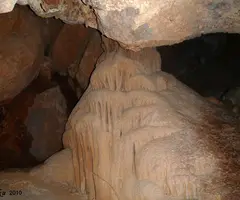 Photographie de FREDA, COVA (3 sur 8)