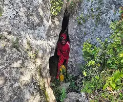 Fotografia de CINGLE DELS PINS ALTS, COVA DEL (3 de 8)