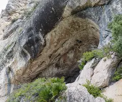 Fotografía de PORTADORA, COVA DE LA (1 de 3)