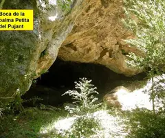 Fotografia de PUJANT, BALMA PETITA DEL (1 de 3)