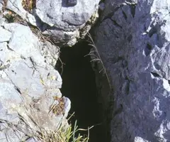 Fotografía de DAURADELLA, AVENC DE LA (1 de 1)