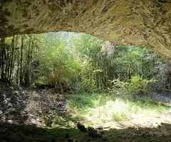 Fotografia de PLUGAOSCURA, COVA DE (4 de 4)