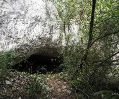 Fotografía de PASTOR, COVA DEL (1 de 12)