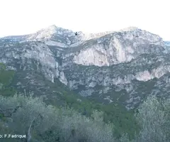 Fotografia de BONICA, COVA (1 de 18)