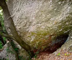 Fotografia de CANAL DE CAN POBLA, COVA DE LA (1 de 1)