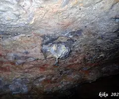 Fotografia de FORESOS, COVA DELS (6 de 13)