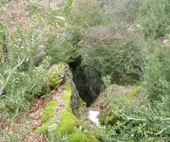 Fotografía de FORQUES, ESCLETXA DE LES (1 de 2)