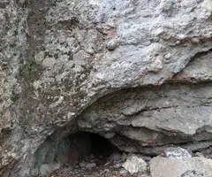 Fotografia de BELLOT, COVA (1 de 1)