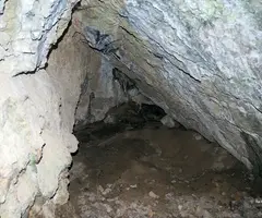 Fotografia de BARRANC DE LES TOSQUES, COVA DEL (2 de 2)
