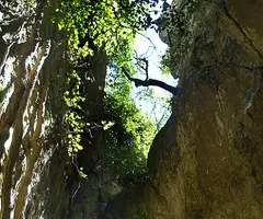Photographie de CANTACORBS, ESQUERDA GRAN DE (1 sur 5)