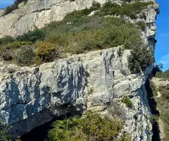Photograph of TORTUGA, COVA DE LA (2 of 4)