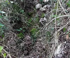 Fotografia de SERRA DEL MAS, AVENC SM-27 DE LA (1 de 5)