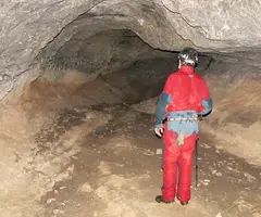 Fotografía de TERRERA, COVA (3 de 7)