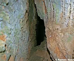 Fotografía de FREE, AVENC DELS (3 de 3)
