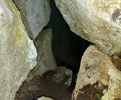 Fotografía de ALEU, COVA DE L' (2 de 6)