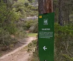 Fotografia de CINTET, COVA DEL (1 de 5)