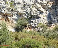 Fotografia de BONICA, COVA (3 de 18)