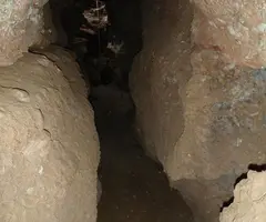 Fotografia de TORRE NEGRA, COVA DE LA (7 de 8)