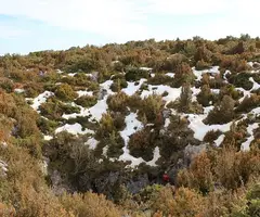 Photographie de PORTÚS, GRALLER DEL (7 sur 14)