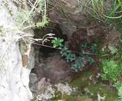 Fotografía de PENYA GINESTA, AVENC DE (3 de 3)