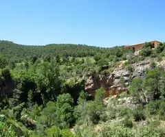 Fotografía de COLLET, COVA DEL (1 de 3)