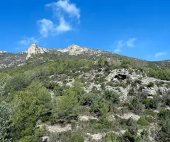 Photographie de LAUREANO, COVA DE (1 sur 3)