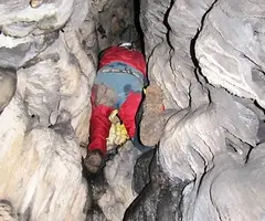 Fotografía de TERRERA, COVA (7 de 7)