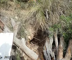 Fotografia de ROCA NEGRA, AVENC DE (5 de 8)