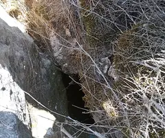 Fotografia de ROIG, FORAT (2 de 3)
