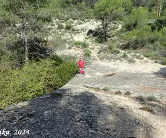 Fotografía de CAN TARDÀ, COVA DE (1 de 3)