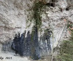 Photograph of CINGLES DE BARRINA, BALMA DELS (3 of 4)