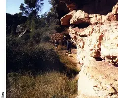 Photographie de PAU VINYES, COVA DEL (1 sur 3)