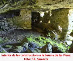Fotografia de FLEUS, BALMA DE LES (3 de 4)