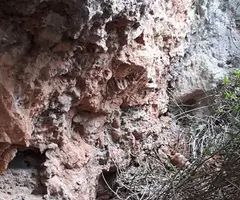 Fotografia de XACÓ, COVA FÒSSIL Nº1 DEL (2 de 3)