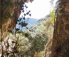 Fotografía de MONTGLÒS, COVA DE (4 de 5)
