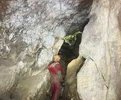Fotografía de ROTGERS R-1, COVA DE (10 de 11)