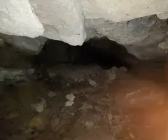 Fotografia de ULLALS DE LA CARROVA, COVA DELS (4 de 6)