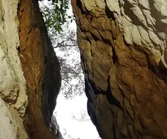 Fotografia de SERRA DEL MAS, COVA SM-18 DE LA (6 de 6)