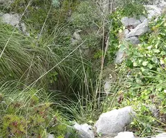 Fotografía de RASCLER, AVENC DEL (3 de 3)