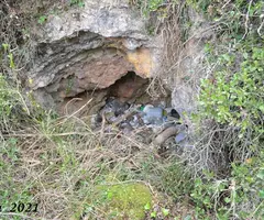 Fotografia de LLEDONER, AVENCÓ DEL (1 de 2)