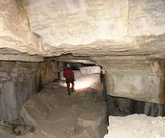 Photograph of TEIXIDORS, BORA DELS (5 of 8)