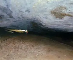 Fotografia de REC DE LES MUNTANYETES, COVA DEL (5 de 7)
