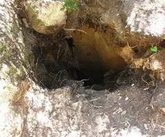Photographie de ARRELS-CLONC, SISTEMA (7 sur 15)
