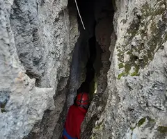 Fotografía de MAS DE LES FONTS, ESQUERDA Nº 7 DEL (2 de 3)