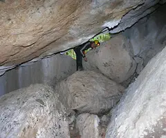 Fotografia de TRONASSA DE LA TOR, LA (2 de 6)