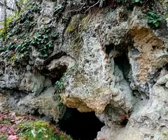 Fotografía de BOSOMS, COVA Nº1 DE (1 de 5)