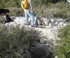 Fotografía de PEDRES, FORAT DE LES (1 de 1)