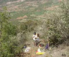Fotografía de GRALLERA, FORAT DE LA (9 de 9)
