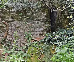 Photographie de FEBRES, FONT DE LES (2 sur 3)