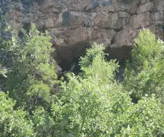 Fotografia de RIERA DE PONTONS, COVES DE LA (1 de 3)